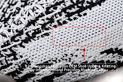 Adidas Yeezy Boost 350 V2 Zebra Reps Sneaker CP9654 2
