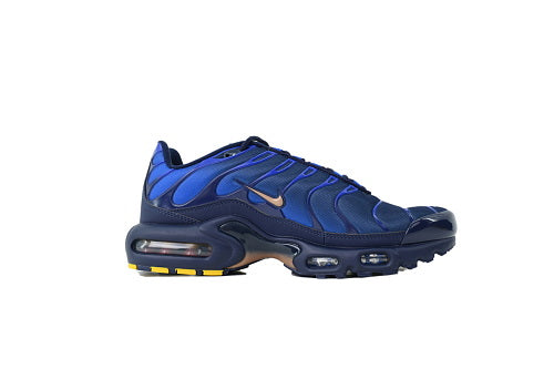 Air Max Plus French Football Federation IQ0170-400 2