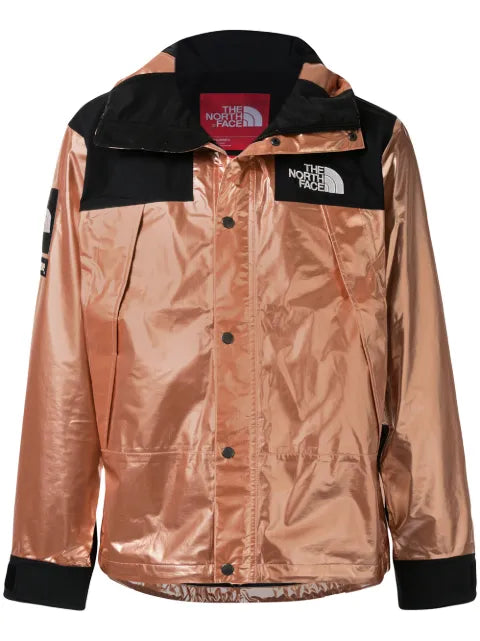 Supreme x The North Face metallic mountain jacket