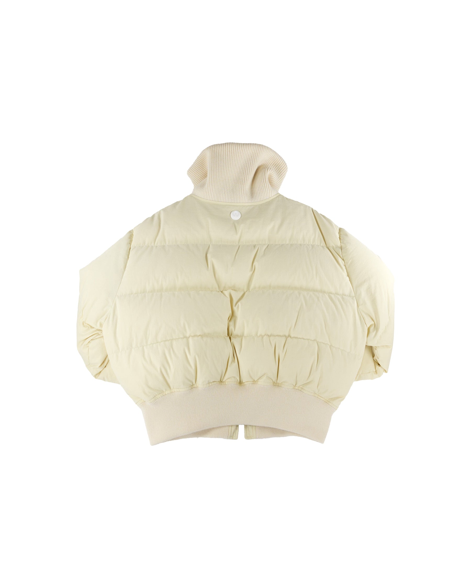 Louis Vuitton Monogram Ski Jacket