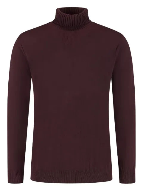 DORIANI turtleneck sweater