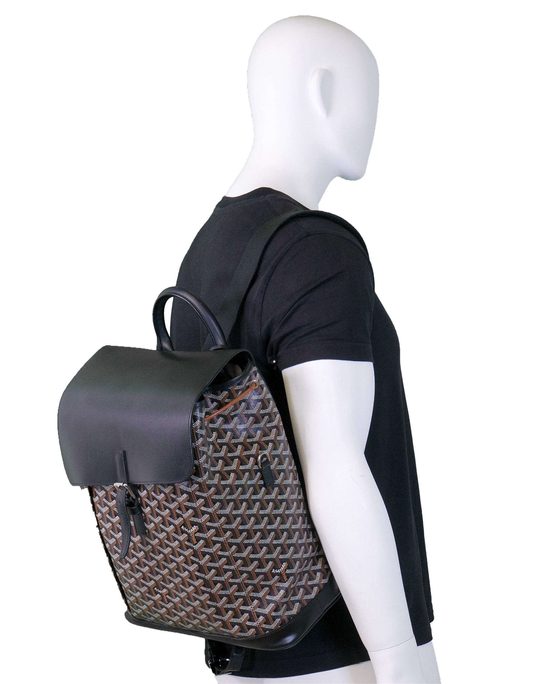 Goyard Alpin MM Backpack