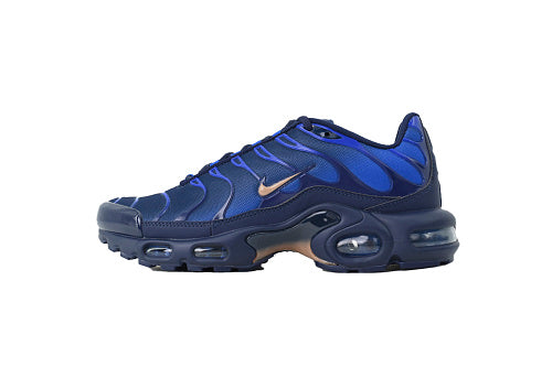 Air Max Plus French Football Federation  IQ0170-400